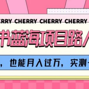 小红书路人消失术P图副业玩法 新手实操收益及操作指南-雨叶虚拟资源网