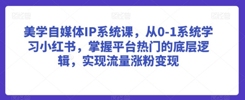 0基础学小红书美学自媒体运营 掌握平台逻辑实现涨粉变现
