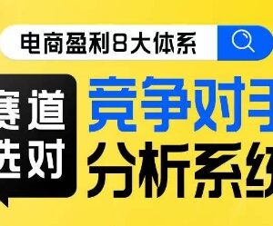 电商盈利8大体系线上课 赛道选择及竞品分析核心方法学习-雨叶虚拟资源网