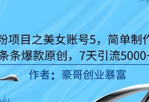 男粉引流美女账号实操教程 简易制作爆款内容7天引流5000+-雨叶虚拟资源网