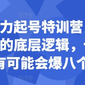 小红书暴力起号特训营教程 掌握底层逻辑提升爆款笔记概率-雨叶虚拟资源网