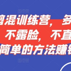 2024短视频混剪训练营 多平台挂车不露脸无直播赚钱实操教程-雨叶虚拟资源网