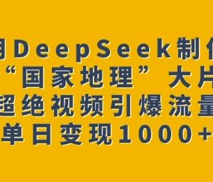 如何用DeepSeek制作国家地理级AI视频 流量变现实操教程-雨叶虚拟资源网