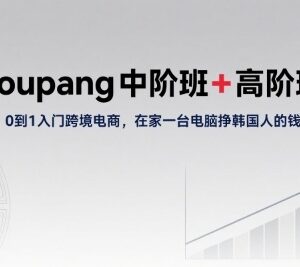 Coupang中高阶运营教程 0基础入门韩国跨境电商实操全指南-雨叶虚拟资源网