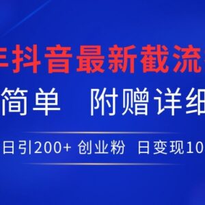 2024年抖音截流技术实操指南 精准引创业粉附完整学习资料-雨叶虚拟资源网