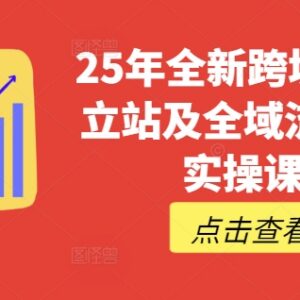 2025年跨境独立站实操课 TikTok全域营销普货特货玩法大全-雨叶虚拟资源网