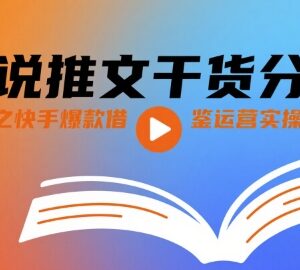 快手小说推文爆款运营实操干货 低门槛普通人副业入门指南-雨叶虚拟资源网