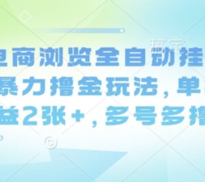 电商浏览全自动挂机撸金项目揭秘 单机日入200+可多号复制-雨叶虚拟资源网