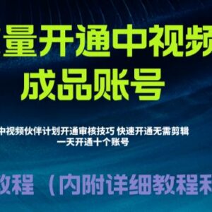 无需剪辑无需代过 中视频伙伴计划快速通过暴力开通教程-雨叶虚拟资源网