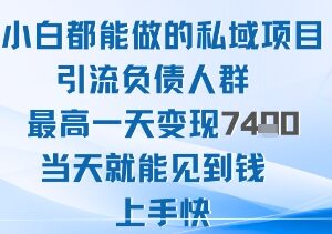 2025年小白可做私域项目 引流负债人群单日最高变现超千元-雨叶虚拟资源网
