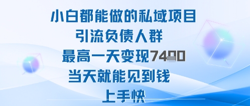 2025年小白可做私域项目 引流负债人群单日最高变现超千元