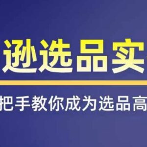 亚马逊选品实操系统课程 全渠道覆盖掌握爆品选品核心技巧-雨叶虚拟资源网