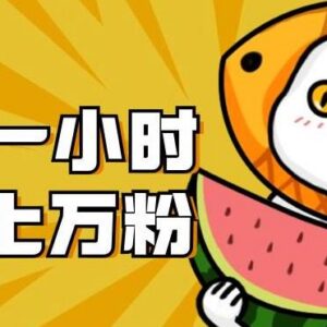 男粉赛道暴力涨粉实操教程 每天1小时7天可实现万粉增长-雨叶虚拟资源网
