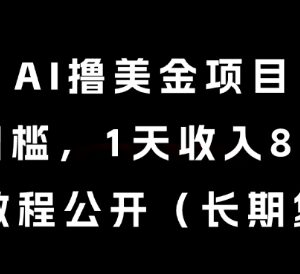 零门槛AI撸美金长期项目教程 稳定无风控实操方法分享-雨叶虚拟资源网