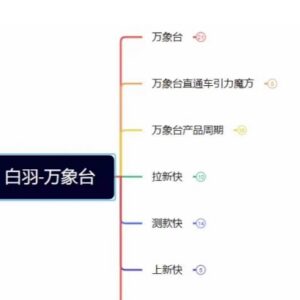 电商运营0-1多类目实操干货 直通车引力魔方万象台玩法汇总-雨叶虚拟资源网