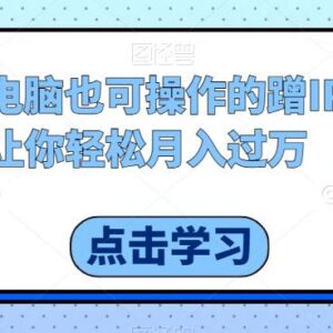 无需电脑基础可操作的蹭IP带货项目 实操玩法与变现思路分享-雨叶虚拟资源网
