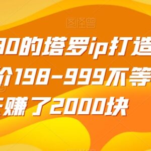 收费2980的塔罗IP打造项目拆解:低客单价运营5天赚2000元方法-雨叶虚拟资源网
