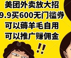 美团9.9元购600元无门槛券活动 可自用薅羊毛推广赚佣金-雨叶虚拟资源网