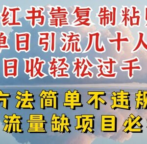 小红书无违规复制粘贴引流玩法 单日引流数十人可实现日入过千-雨叶虚拟资源网