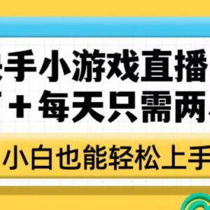 快手小游戏直播赚钱实操方法 小白每天2小时低门槛上手增收-雨叶虚拟资源网