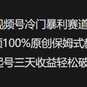 视频号中老年冷门赛道原创起号 保姆级教学及变现方法分享-雨叶虚拟资源网