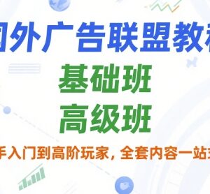 国外广告联盟从入门到高阶教程 基础班+高级班全套学习资源-雨叶虚拟资源网