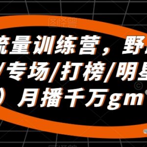 直播带货流量训练营干货 主播起号提GMV全流程实操教学-雨叶虚拟资源网