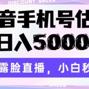 抖音手机号估值不露脸直播玩法 小白易上手高收益副业拆解-雨叶虚拟资源网