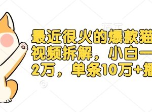 爆款猫咪做饭短视频玩法拆解 小白起号涨粉保姆级实操教程-雨叶虚拟资源网