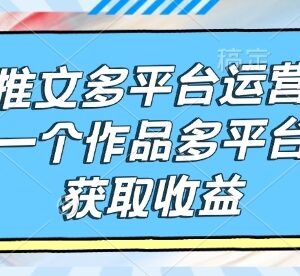 小说推文多平台运营全流程 单作品多端发布获收益实操教程-雨叶虚拟资源网