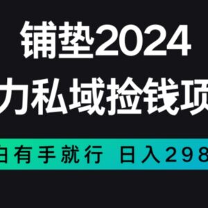 适合新手的低门槛私域赚钱项目 零基础操作高收益玩法揭秘-雨叶虚拟资源网