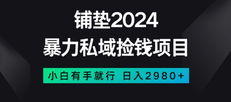 适合新手的低门槛私域赚钱项目 零基础操作高收益玩法揭秘