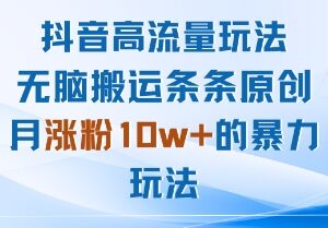 抖音低门槛高流量涨粉方法 搬运内容实现月涨粉10W实操技巧-雨叶虚拟资源网