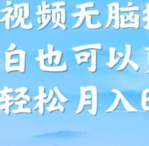 西瓜视频搞笑号赚钱攻略：新手小白零门槛操作可获稳定收益-雨叶虚拟资源网