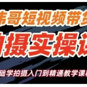 短视频带货拍摄零基础实操课 从入门到精通全流程教学-雨叶虚拟资源网