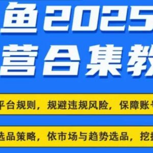 2025年闲鱼电商运营全集 最新卖货玩法实操全教程-雨叶虚拟资源网
