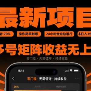 低门槛全自动挂机赚钱项目详解 24小时运行可多号矩阵提收益-雨叶虚拟资源网