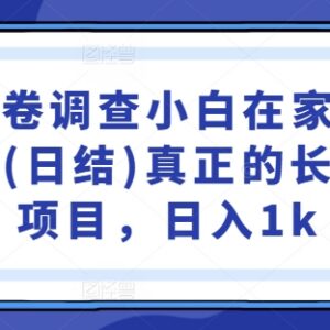 2024国内问卷调查实操教程 小白在家可批量操作日结长期稳定-雨叶虚拟资源网