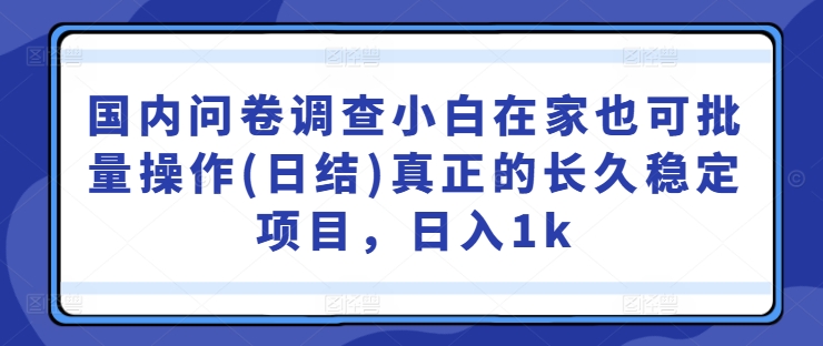 2024国内问卷调查实操教程 小白在家可批量操作日结长期稳定