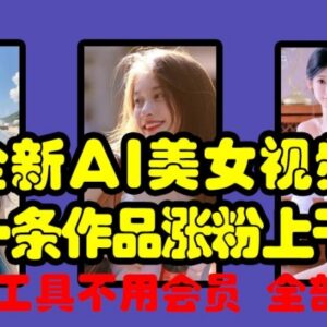 AI美女视频免费制作玩法 单条作品千粉男粉引流变现实操攻略-雨叶虚拟资源网