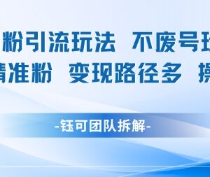 小红书不废号男粉引流玩法 日引100精准男粉多路径变现易操作-雨叶虚拟资源网