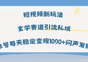 短视频玄学赛道AI玩法教程 私域引流单号日均变现千元实操-雨叶虚拟资源网