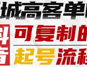 抖音同城高客单IP打造 可复制标准化起号全流程实操指南-雨叶虚拟资源网