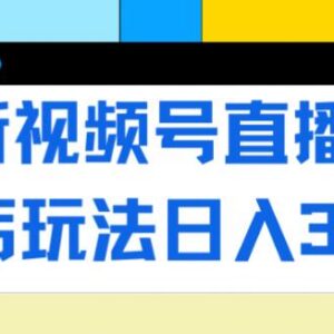 视频号直播卖惨乞讨实操玩法 流量稳定低门槛单日收益可达300+-雨叶虚拟资源网