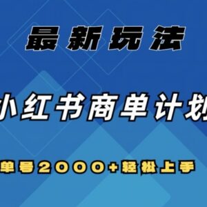 2024小红书商单最新玩法拆解 单号月入2000+可多号复制放大-雨叶虚拟资源网