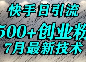 快手精准引流创业粉实操指南 宝妈群体日引500+精准流量方法-雨叶虚拟资源网