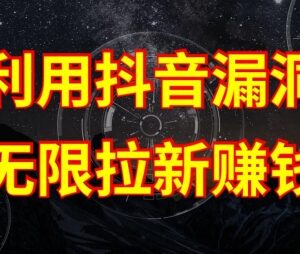 抖音链接漏洞无限拉新赚钱教程 附漏洞原理及完整操作流程-雨叶虚拟资源网