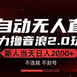 抖音2.0无人直播撸音浪玩法揭秘 低门槛新手当日即可获收益-雨叶虚拟资源网