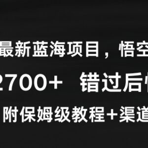 2024悟空网盘拉新蓝海项目实操攻略 附保姆级教程及推广渠道-雨叶虚拟资源网