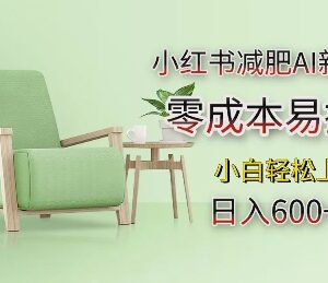 2024小红书减肥AI新赛道项目解析 零成本易操作小白可上手-雨叶虚拟资源网